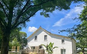 Autour Des Vignes B&B
